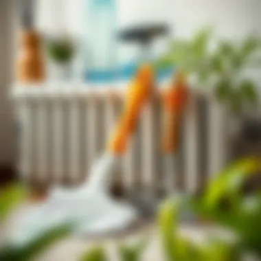 Cleaning tools for radiator maintenance