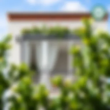 Creative DIY enclosed balcony transformation