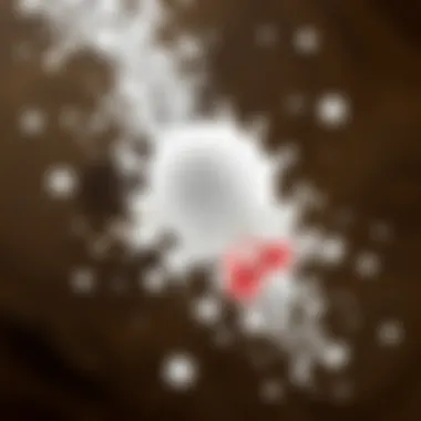 Interaction of baking soda with odor molecules