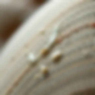 Close-up view of adhesive residue on fabric