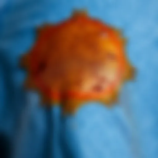 Analyzing a Tea Stain on Denim A close-up view of a tea stain on denim fabric