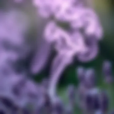 Lavender Smoke in the Air Lavender smoke wafting through the air