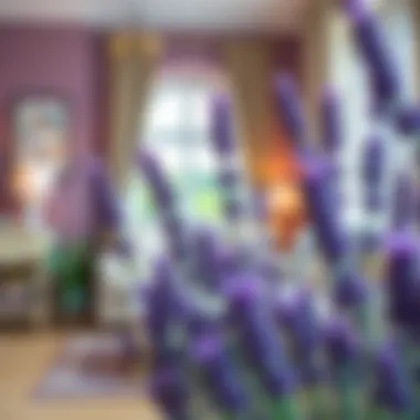 Elegant interior decor showcasing lavender hues