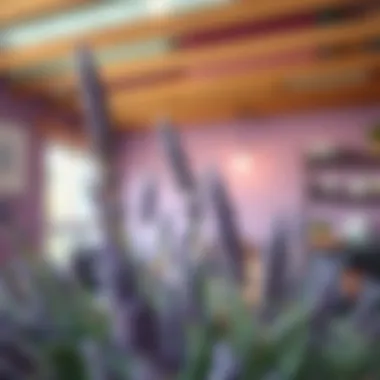 Psychological impact of lavender tones in design