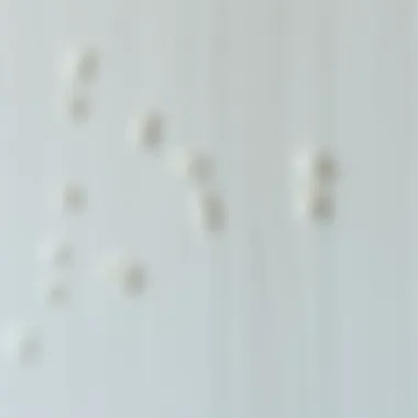 Secrets to Long-lasting Wall Cleanliness Maintaining wall cleanliness over time