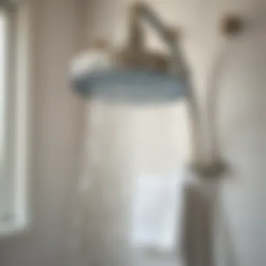 Low-flow showerhead installed in a home bathroom