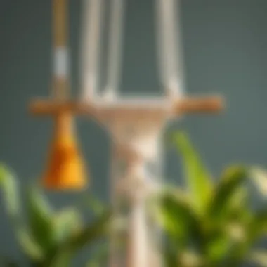 Advanced macrame project inspiration