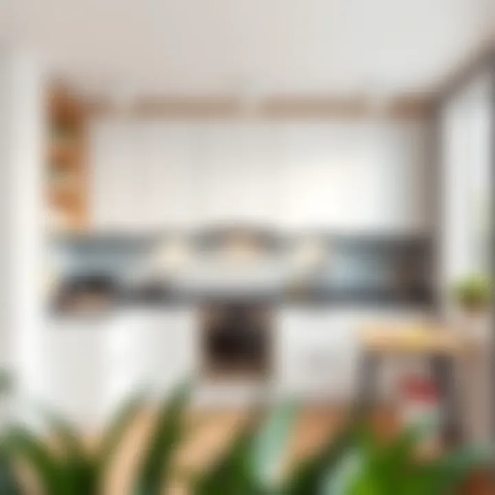 Stylish minimalist kitchen cabinets enhancing space functionality