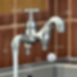 Components of a faucet fixture system