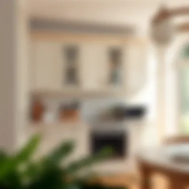 Functional kitchen cabinet design for optimal usage