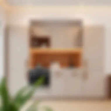 Contemporary kitchen cabinet design showcasing sleek lines and minimalistic appeal