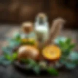 Natural ingredients for insect repellent