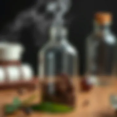 Homemade Ant Pesticide Homemade ant pesticide in a bottle