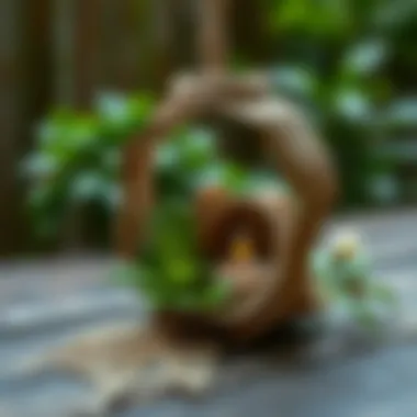 Innovative DIY Craft Using Nature Creative use of natural elements in a unique DIY craft