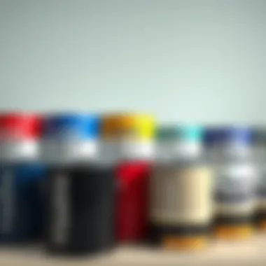 Various types of paint cans lined up for selection