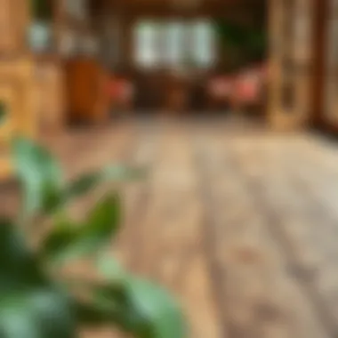 Natural Beauty of Restored Wooden Floors Restored wooden floor showcasing natural beauty