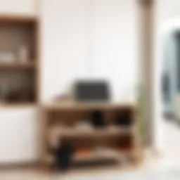 Elegant open shoe storage solution in a modern home