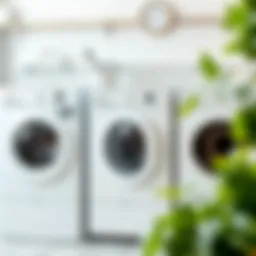 A vibrant display of white laundry before and after restoration