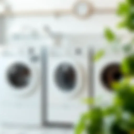 A vibrant display of white laundry before and after restoration