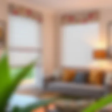 Stylish Roller Blinds Elegant roller blinds showcasing various styles