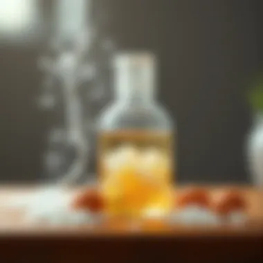 Natural Solutions to Combat Odors Natural odor eliminators