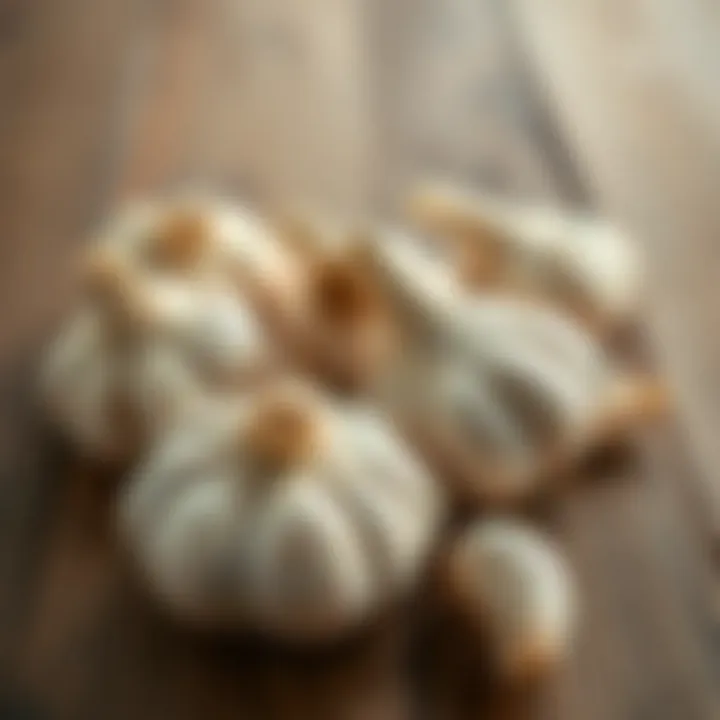 Fresh Garlic Ready for Storage Fresh garlic bulbs on a wooden table