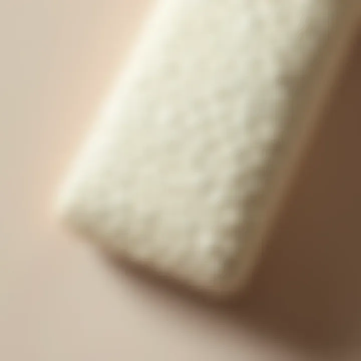 Textured Finish with Pearl Paint Roller Close-up view of a textured surface created with a pearl paint roller
