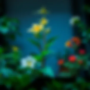 Selection of the best flowering plants for indoors