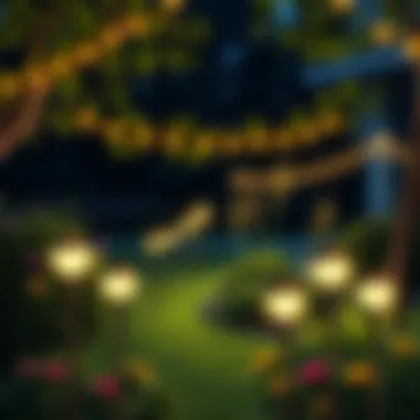 A beautifully lit garden at night with solar lights