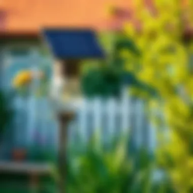 Solar-powered lamp in a backyard highlighting eco-friendly design