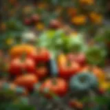 Vibrant autumn vegetables in a garden setting