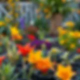 A vibrant autumn garden with various plants ready for planting