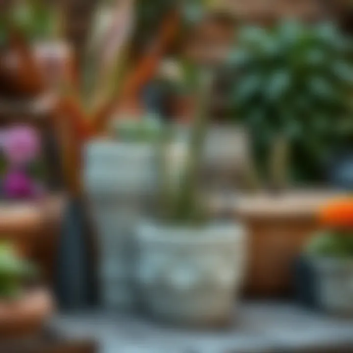 Stylish Garden Planters Stylish planters enhancing garden aesthetics