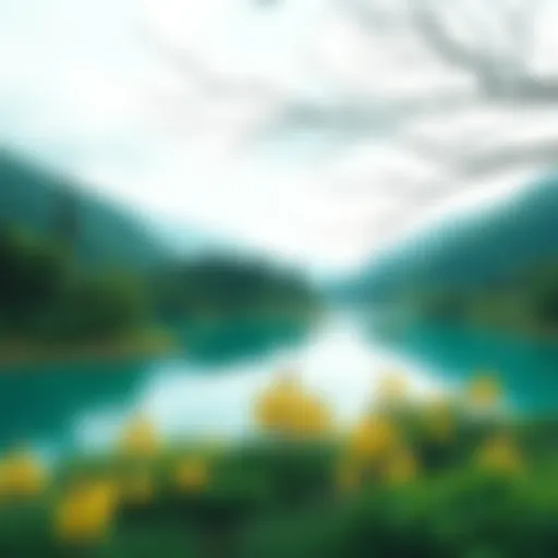 A serene landscape featuring aqua green hues in nature.