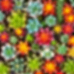 Vibrant collection of various succulent plants showcasing their unique shapes and colors