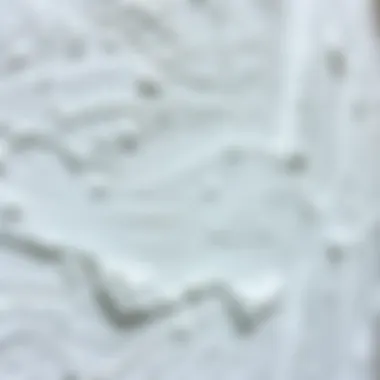 Texture and Finish of Wall Paints Close-up of textured exterior wall paint