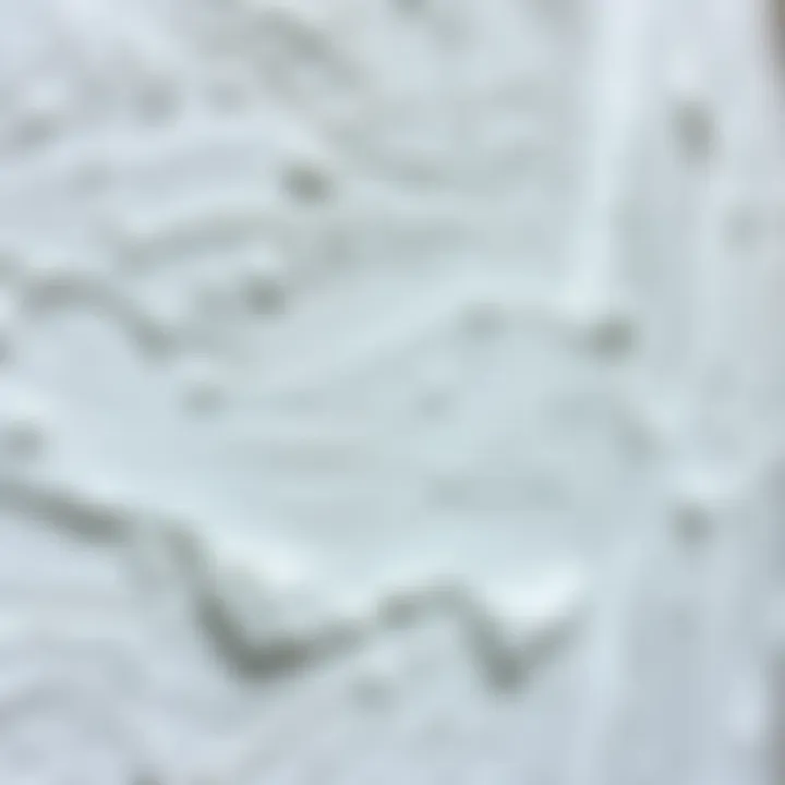 Texture and Finish of Wall Paints Close-up of textured exterior wall paint