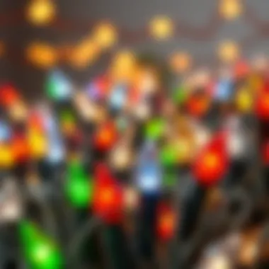 Diverse Holiday Lighting Options A close-up of various types of holiday lights arranged aesthetically.