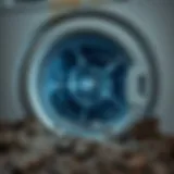 Underneath a washing machine showing accumulated dirt