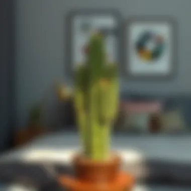 Cactus in a modern bedroom setting